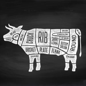 Bull-Large (Half Bull)