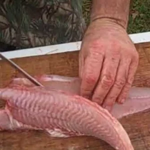 Catfish Skinning/Cleaning